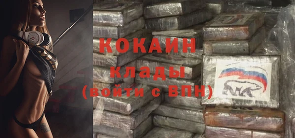 ГАЛЛЮЦИНОГЕННЫЕ ГРИБЫ Аркадак