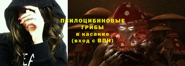 мяу мяу мука Армянск