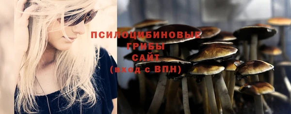 синтетический гашиш Арсеньев