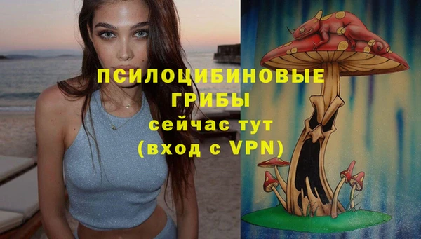 мяу мяу мука Армянск