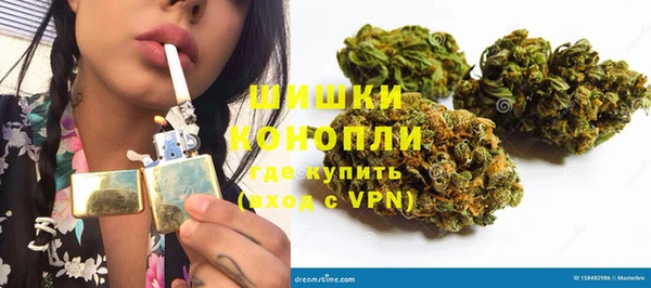 ГАЛЛЮЦИНОГЕННЫЕ ГРИБЫ Аркадак