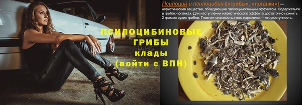 ГАЛЛЮЦИНОГЕННЫЕ ГРИБЫ Аркадак
