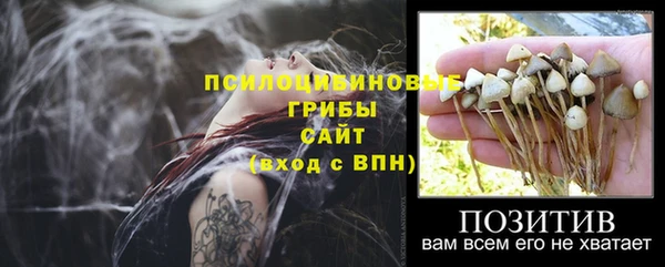 синтетический гашиш Арсеньев