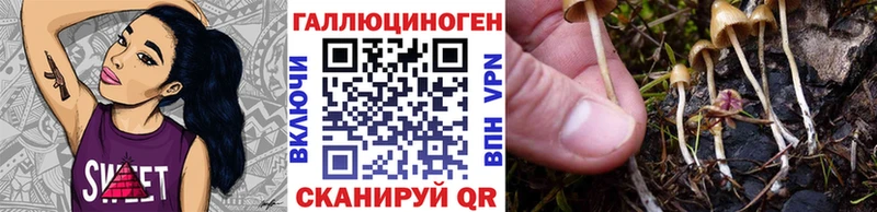 ссылка на мегу tor  Мценск  Галлюциногенные грибы мухоморы 